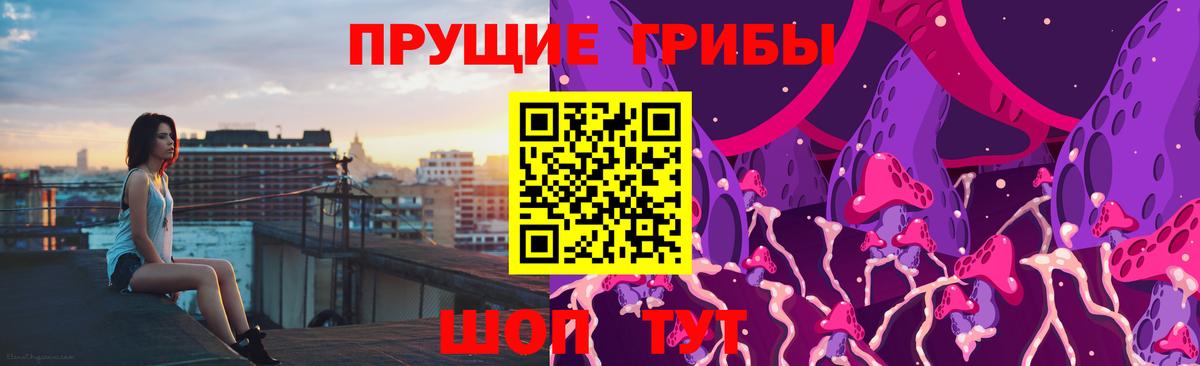 Псилоцибиновые грибы GOLDEN TEACHER Острогожск